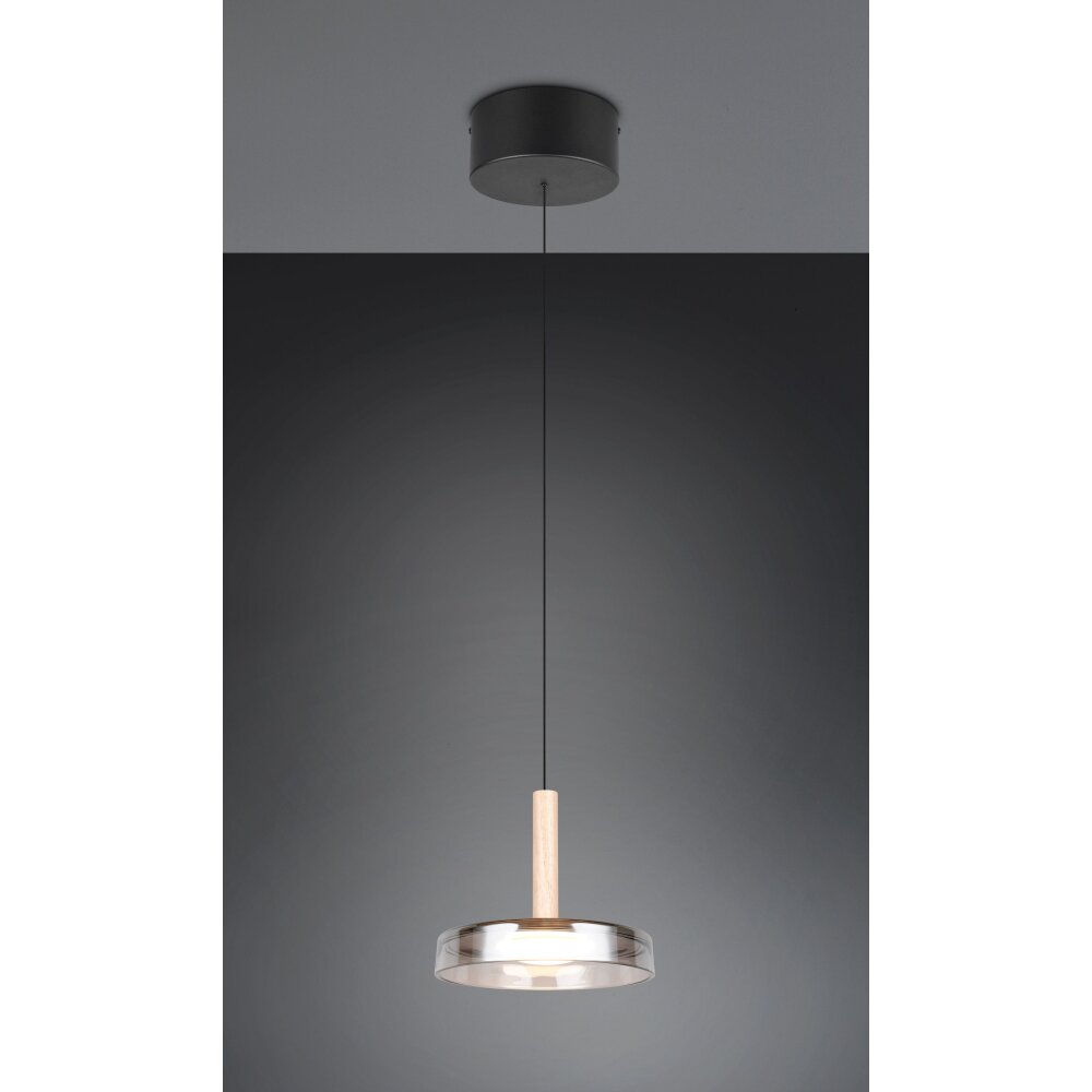 Trio Celeste Pendelbelysning LED Svart, 1-ljuskällor main product photo