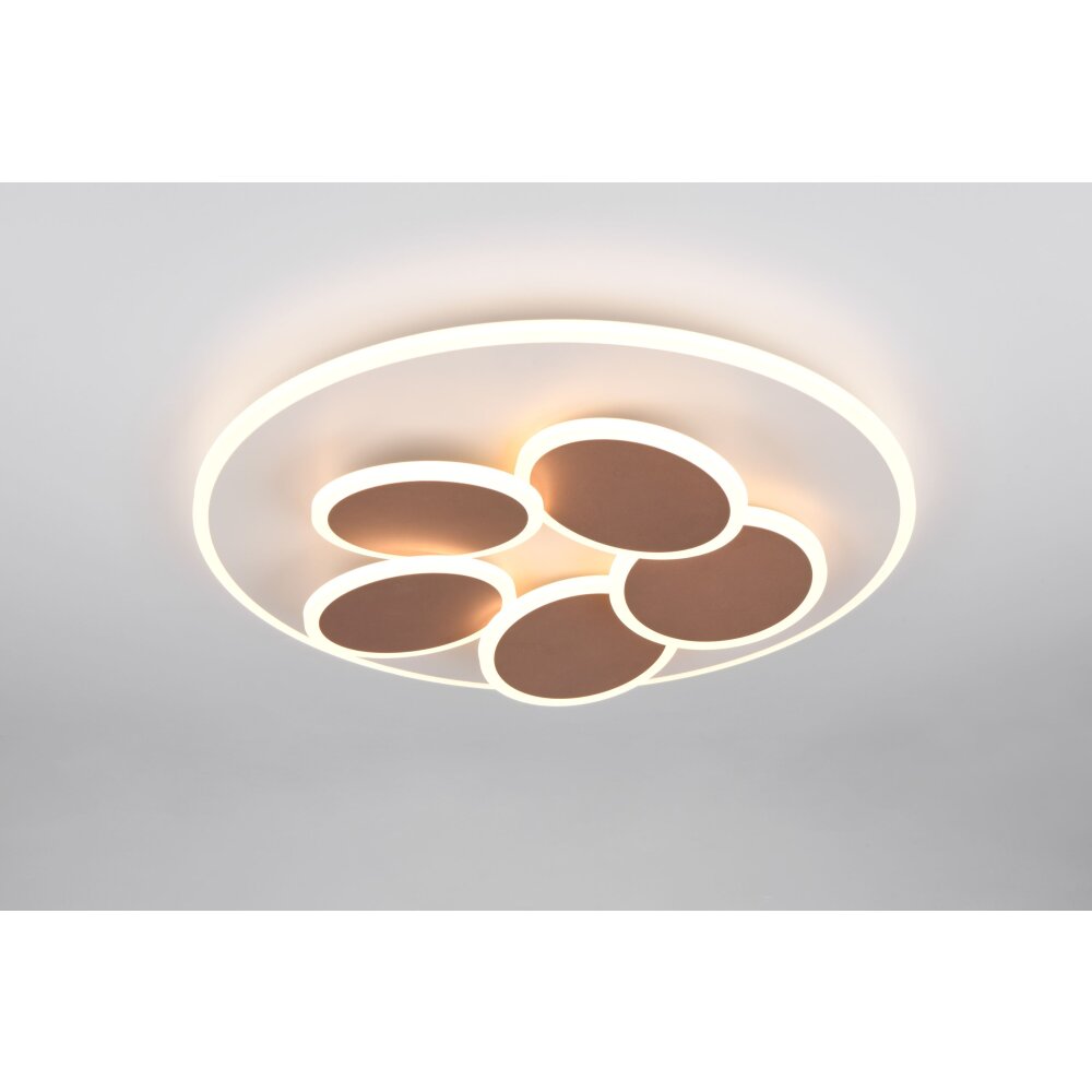 Trio Mandala Taklampa LED Grått, 1-ljuskällor, Fjärrkontroll main product photo
