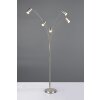 Trio Lampor Marley Golvlampa, Båglampor Nickel matt, 5-ljuskällor