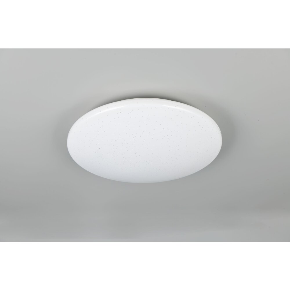 Reality Pollux Taklampa LED Vit, 1-ljuskällor, Rörelsedetektor main product photo