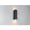 Trio Raglan Vägglampa LED Svart, 2-ljuskällor