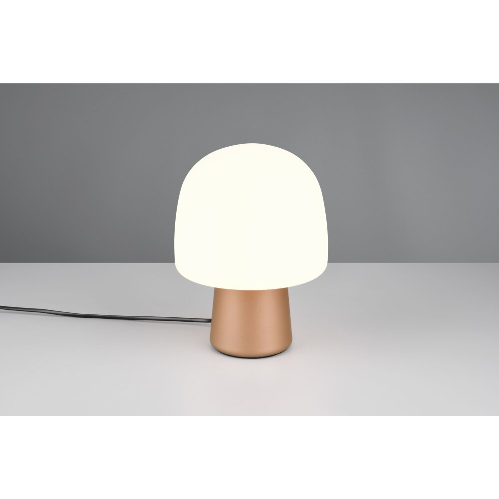 Svamplampa Trio Steen Bordslampa Brun, 1-ljuskällor main product photo