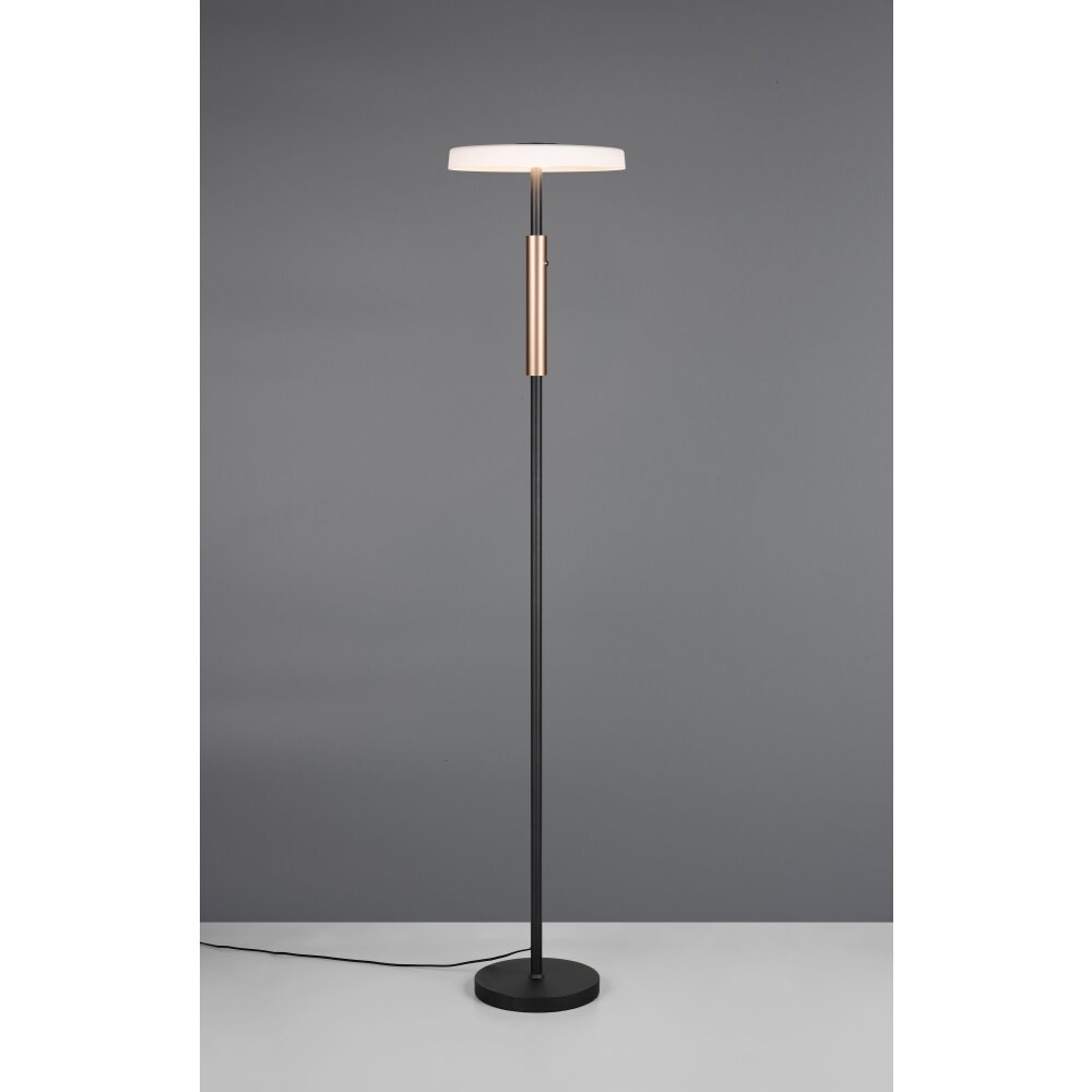 Trio Celeste Golvlampa LED Brun, 1-ljuskällor main product photo