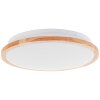 Brilliant Lampor Bario Taklampa LED Vit, 1-ljuskällor
