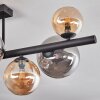 Chehalis Taklampa, kullampa Amber, Rökfärger, 8-ljuskällor