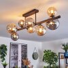 Chehalis Taklampa, kullampa Amber, Rökfärger, 8-ljuskällor