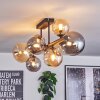 Chehalis Taklampa, kullampa Amber, Rökfärger, 8-ljuskällor