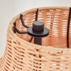 Cardeira Golvlampa Svart, 4-ljuskällor