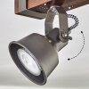 Pehefito Taklampa, Takstrålkastare Mörkbrun, Grått, 4-ljuskällor