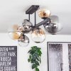 Chehalis Taklampa, kullampa Amber, Klart, Rökfärger, 8-ljuskällor