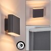 Paranhas vägglampa utomhus, badrumslampa, Up & Down Lampa, Vägglampa Antracit, 1-ljuskällor