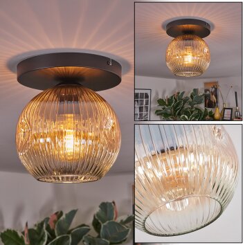 Ripoll Taklampa, kullampa Amber, Klart, 1-ljuskällor