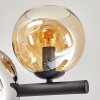 Koyoto Taklampa, kullampa Amber, Krom, Rökfärger, 8-ljuskällor