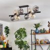 Koyoto Taklampa, kullampa Amber, Klart, Rökfärger, 8-ljuskällor
