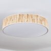 Foggia Taklampa Nickel matt, 3-ljuskällor