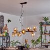 Gastor Pendellampa, kullampa, Pendelbelysning Amber, Klart, 10-ljuskällor