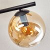 Gastor Taklampa, kullampa Amber, Krom, Rökfärger, 5-ljuskällor