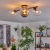 Gastor Taklampa, kullampa Amber, Klart, Rökfärger, 4-ljuskällor