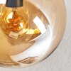 Gastor Taklampa, kullampa Amber, Klart, Rökfärger, 4-ljuskällor