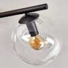 Gastor Taklampa, kullampa Amber, Klart, Rökfärger, 4-ljuskällor