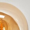 Gastor Taklampa, kullampa Amber, Rökfärger, 5-ljuskällor