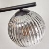 Gastor Taklampa, kullampa Amber, Klart, Rökfärger, 5-ljuskällor