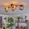 Gastor Taklampa, kullampa Amber, Klart, Rökfärger, 5-ljuskällor