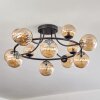 Chehalis Taklampa, kullampa Amber, 12-ljuskällor