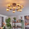Chehalis Taklampa, kullampa Amber, 12-ljuskällor