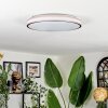 Anora Taklampa LED Kopparfärg, Vit, 1-ljuskällor