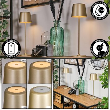 Belece Bordslampa utomhus, Bordslampa LED Guld, Vit, 1-ljuskällor