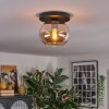 Apedo Taklampa, kullampa Amber, 1-ljuskällor