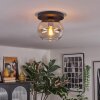 Apedo Taklampa, kullampa Amber, Klart, 1-ljuskällor