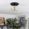 Apedo Taklampa, kullampa Amber, Klart, 1-ljuskällor