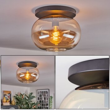 Apedo Taklampa, kullampa Amber, 1-ljuskällor Apedo Taklampa, kullampa Amber, 1-ljuskällor