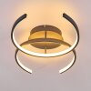 Guinea Taklampa LED Antracit, 2-ljuskällor