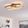 Guinea Taklampa LED Antracit, 2-ljuskällor