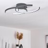 Guinea Taklampa LED Antracit, 2-ljuskällor