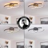 Guinea Taklampa LED Antracit, 2-ljuskällor