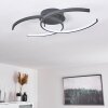 Guinea Taklampa LED Antracit, 2-ljuskällor