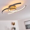 Guinea Taklampa LED Antracit, 2-ljuskällor