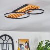 Pompu Taklampa LED Naturfärger, Svart, 1-ljuskällor
