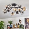 Chehalis Taklampa, kullampa 76 cm Amber, Klart, Rökfärger, 12-ljuskällor