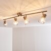Parado Taklampa, Takstrålkastare Nickel matt, 4-ljuskällor