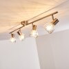 Parado Taklampa, Takstrålkastare Nickel matt, 4-ljuskällor
