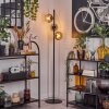 Koyoto Golvlampa Klart, Rökfärger, 3-ljuskällor