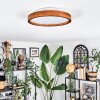 Sofo Taklampa, Panel LED Vit, 1-ljuskällor