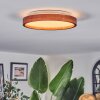 Sofo Taklampa, Panel LED Vit, 1-ljuskällor