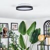 Sofo Taklampa, Panel LED Vit, 1-ljuskällor