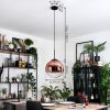 Gastor Pendellampa, kullampa, Pendelbelysning 30 cm Klart, Kopparfärg, 1-ljuskällor